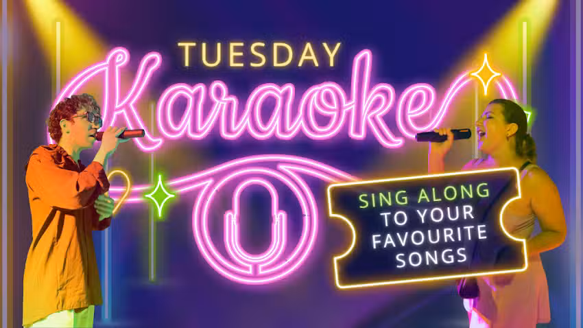 Karaoke Club | Miky House Valencia