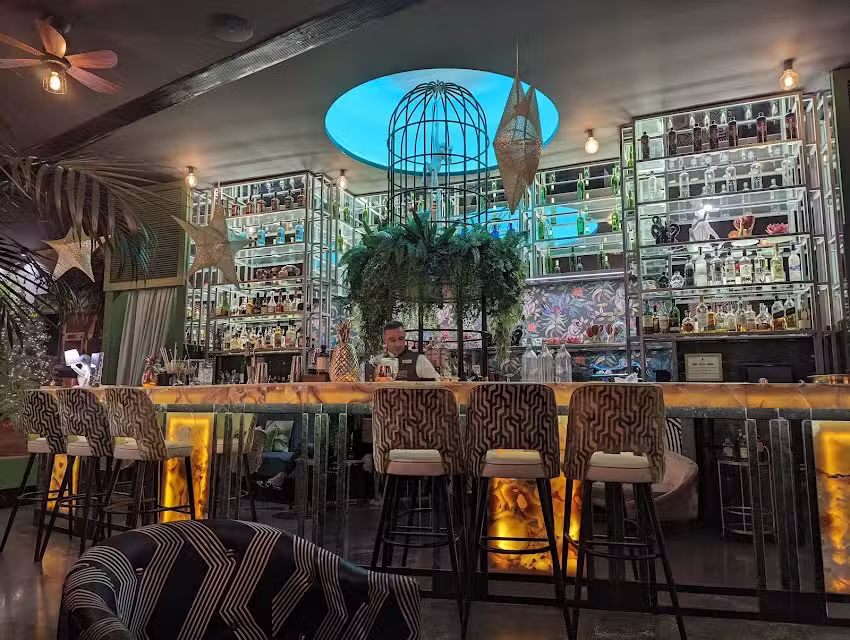 Kentia, Gourmet Club