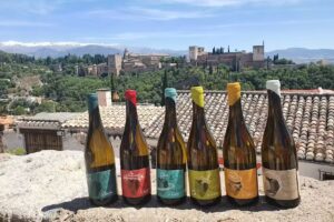 Kiki, Vinos y Otras Cosas…