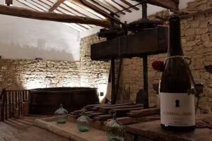 La Bodega del Tesoro (visitas bodega)