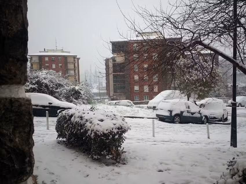 La Cepa