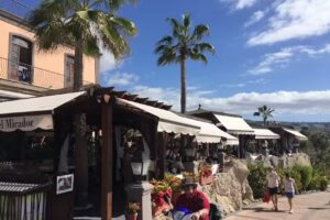 La Fuente Del Mirador