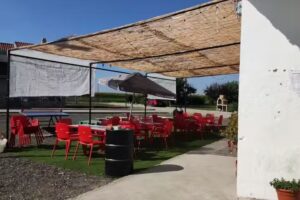 La Nueva Colonizaci&oacute;n