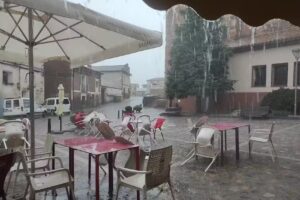 La Nueva Lonja de Manchones