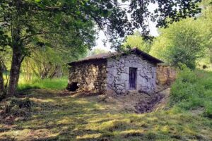 Limia Jardón María Isabel