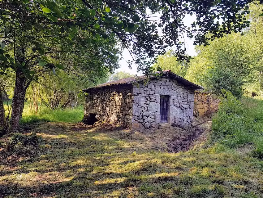Limia Jard&oacute;n Mar&iacute;a Isabel