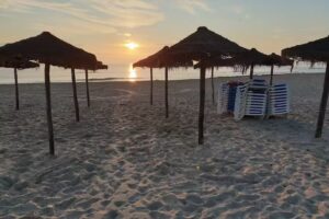 Lisa’s Teas and Treats Café Tea Room Panadería Bar.