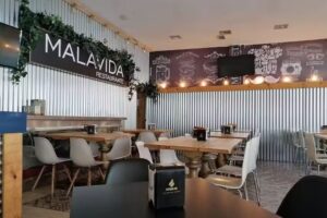 Malavida universidad