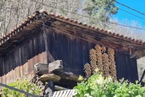 Mes&oacute;n El G&uuml;erto