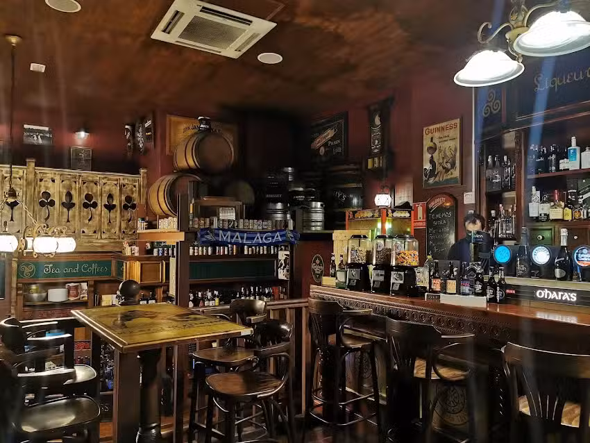 MOLLY MALONE&rsquo;S TEATINOS