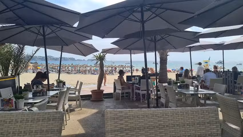 Momos Restaurant | Pizzeria, Lounge