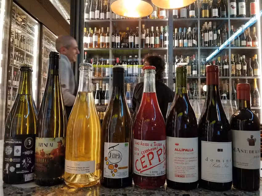 M&oacute;n V&iacute;nic