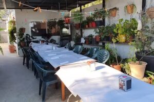 MOSTO PE&Ntilde;A CHIRICUTI