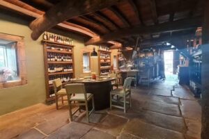 Mui&ntilde;o de Rudi&ntilde;o