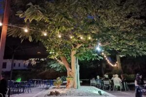 N&ordm;25 &middot;GASTROBAR&middot;