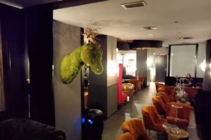 Oashis &ndash; Cocktails & Shishas