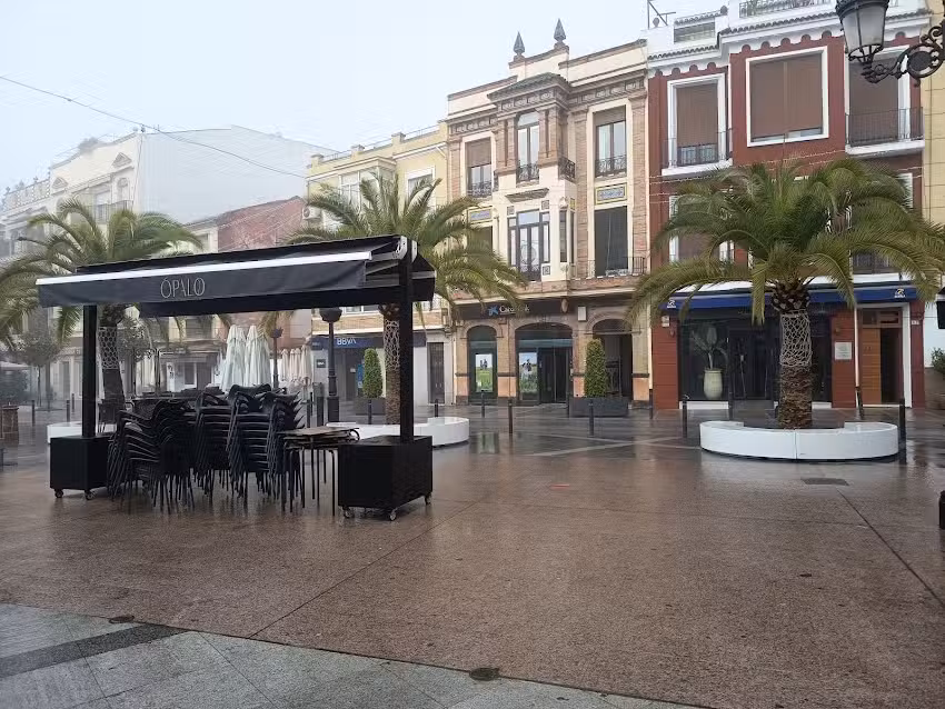 &Oacute;palo &ndash; Cocteler&iacute;a Caf&eacute;