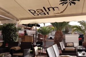 Palm bar