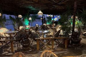 Papaya Polinesian Bar