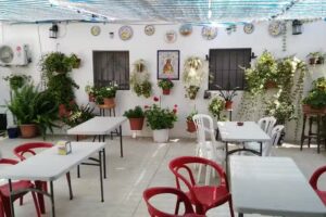 Pe&ntilde;a Flamenca El Lirio