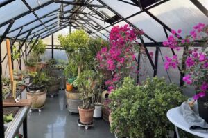 Pe&ntilde;a Real Madrid de Arenas