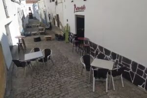 Picasso’s Bar de Copas