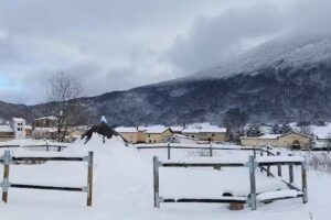 Pipaongo Gizarte Etxea