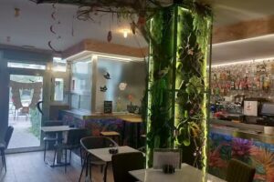 PISCO Y TAPA BAR CAF&Eacute;