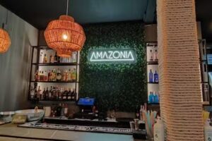 Pub Amazonia &ndash; Copas