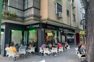 Pub The Jungle Sevilla