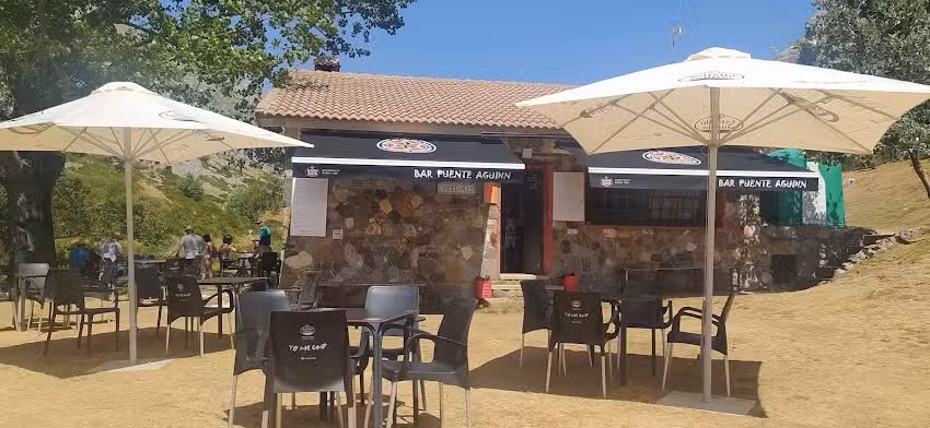 Puente Agud&iacute;n.