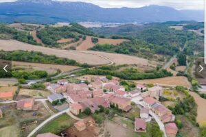 Quintana (Narcisos )