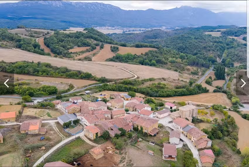 Quintana (Narcisos )