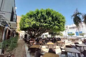 Restaurante Casa Minguito