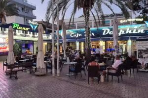 Restaurante Dolphin Palmanova