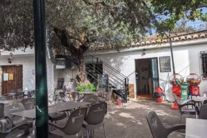 Restaurante Los Olivos de Alfacar