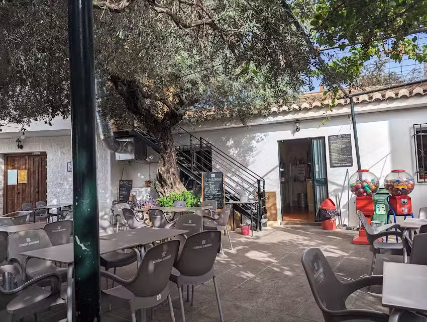 Restaurante Los Olivos de Alfacar