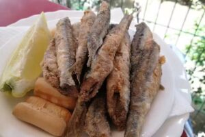 Rinc&oacute;n de Quino