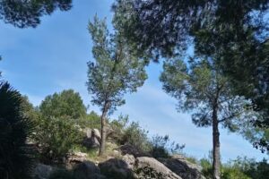 Riu Rau de parc Segaria