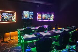 Sal&oacute;n de juegos Txingudi