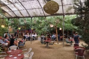 Samba Brasil (Horta)