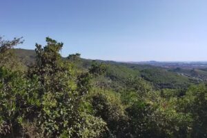 Snack &ndash; Bar El Peque&ntilde;o Mundo