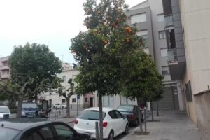 Snack Bar Empordanès