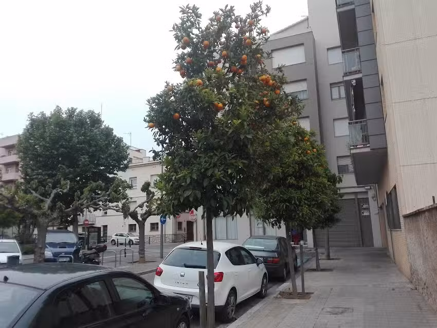 Snack Bar Empordan&egrave;s