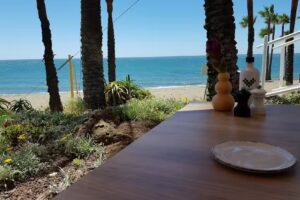 Sp&iacute;ler Beach Club Estepona &ndash; Marbella