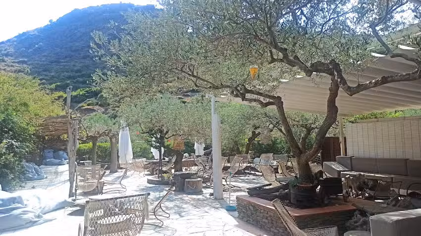 Strandbar Cala J&oacute;ncols