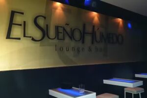 Sue&ntilde;o H&uacute;medo