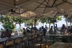 Surf House Barcelona