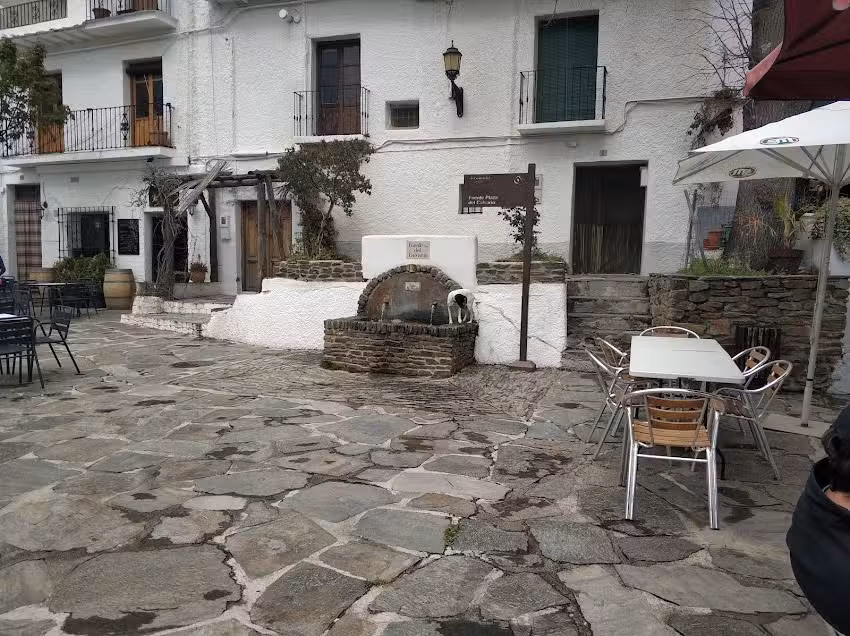 Taberna El Tilo | Capileira