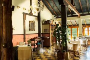 Taberna &ndash; Restaurante Tierra de Olivos